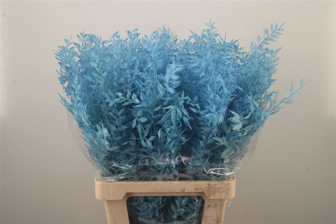 Ov Colrbehandeld 60cm