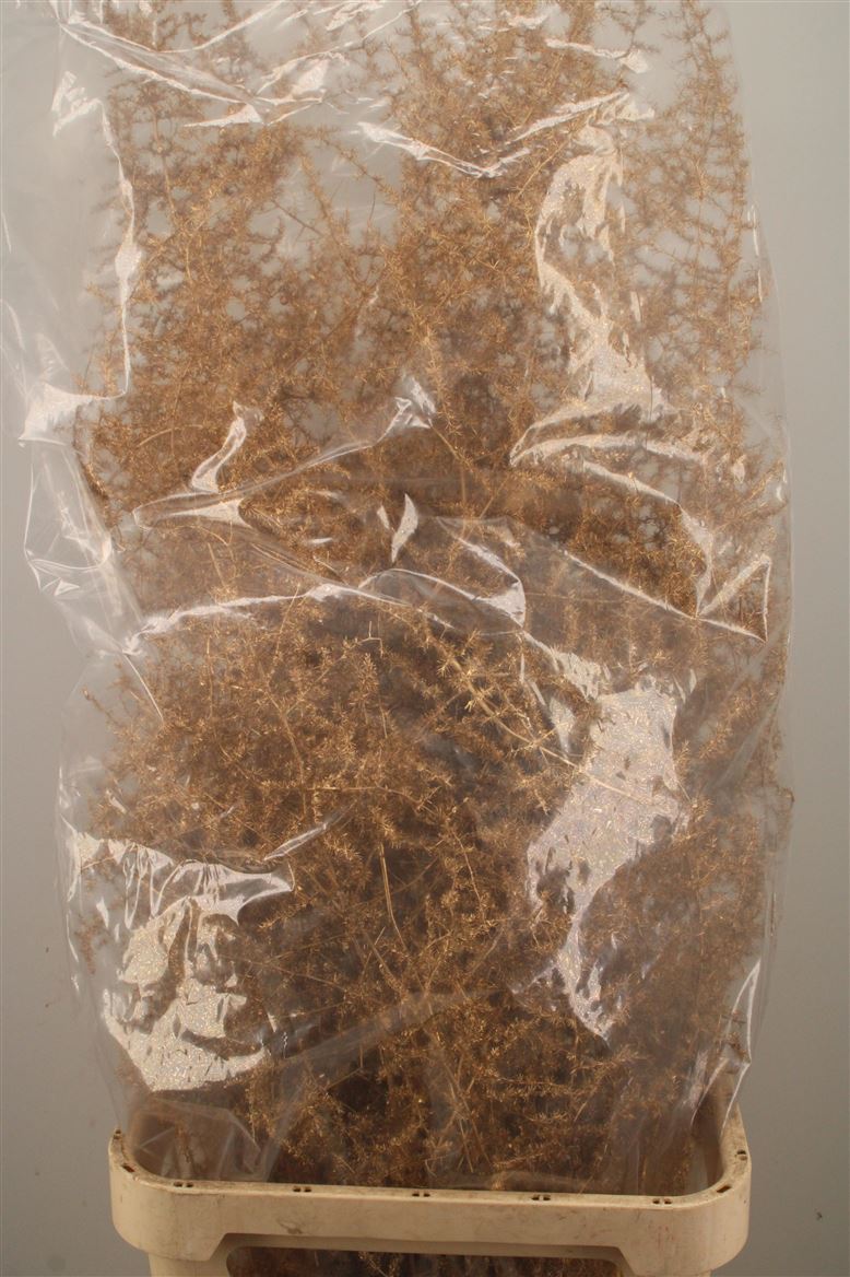 Ov Colrbehandeld 110cm