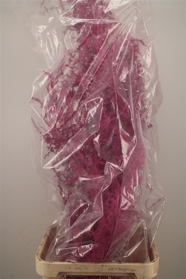 Ov Colrbehandeld 110cm