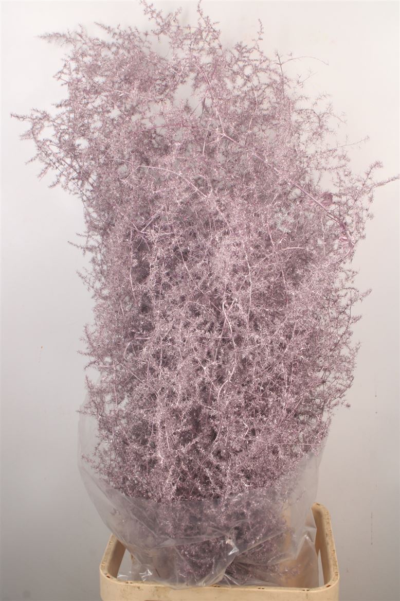 Ov Colrbehandeld 110cm