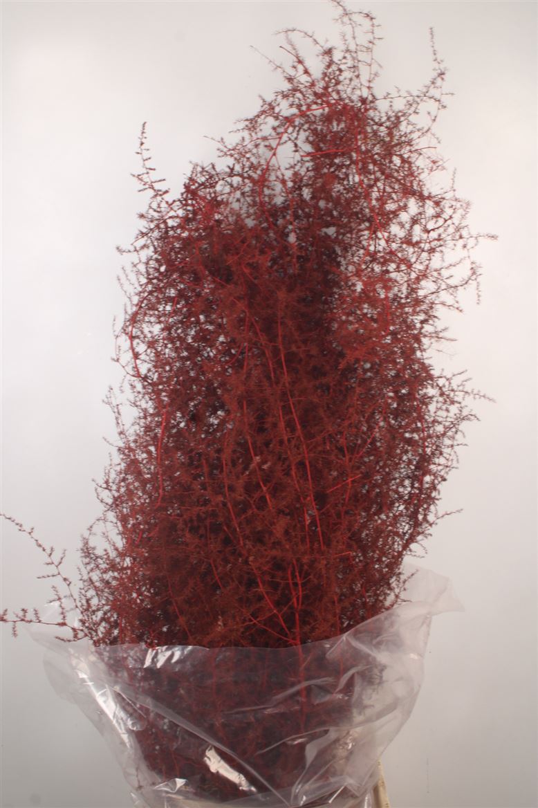 Ov Colrbehandeld 110cm