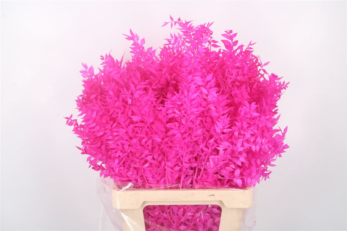 Ov Colrbehandeld 60cm
