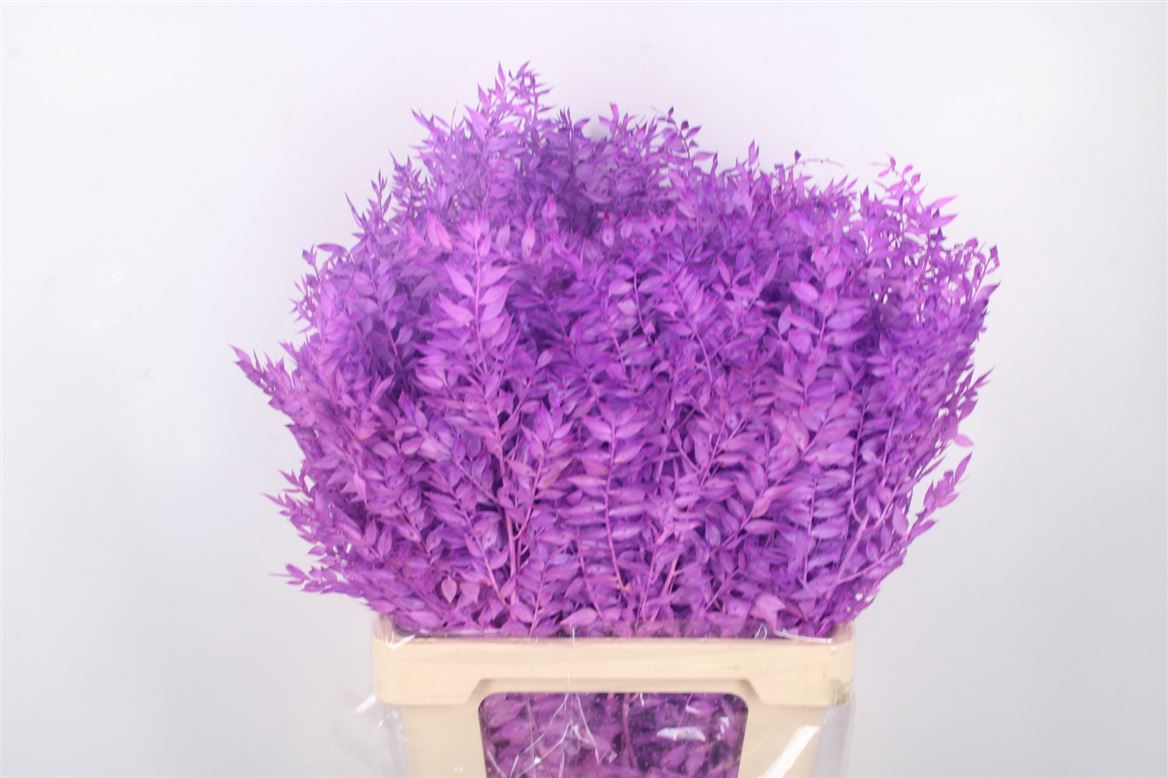 Ov Colrbehandeld 60cm