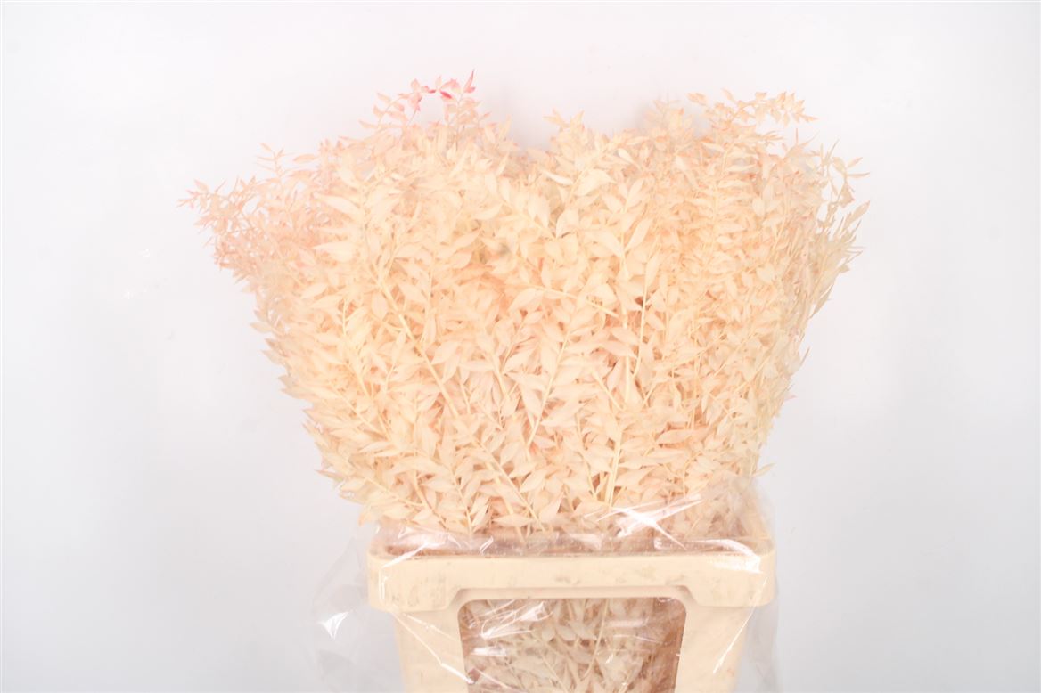 Ov Colrbehandeld 60cm